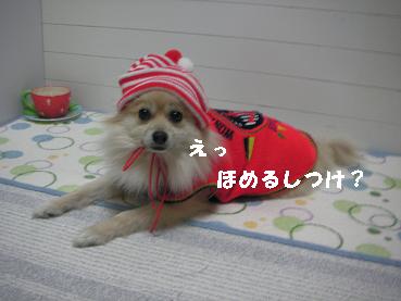 c0179136_2211831.jpg