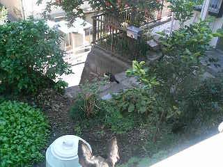 e0150843_15432347.jpg