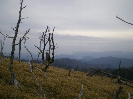 c0042847_10184975.jpg