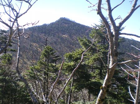 c0042847_10195245.jpg