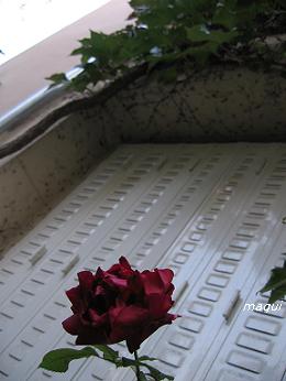 c0098050_2227374.jpg