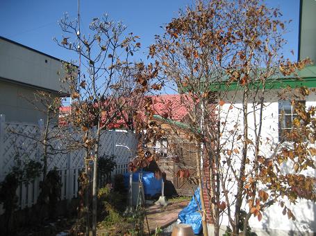 a0075455_8736100.jpg
