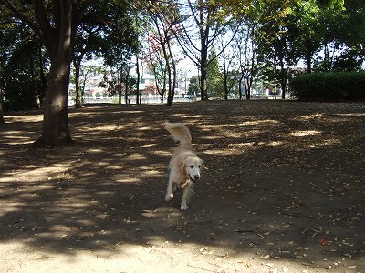 c0097558_1231852.jpg