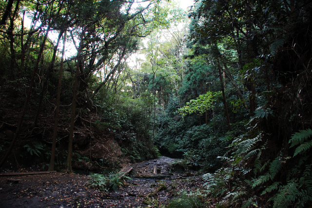 f0176458_20243474.jpg