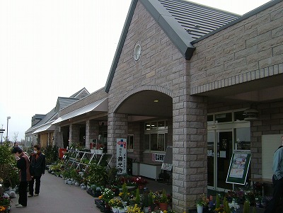f0106664_18174344.jpg