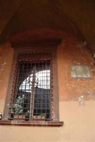 f0118968_833114.jpg