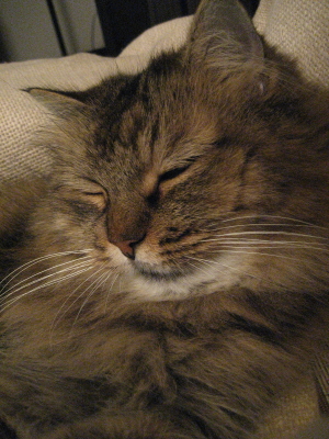 f0183274_22331577.jpg