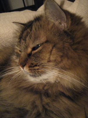 f0183274_2233405.jpg