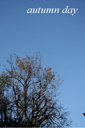 b0136683_10461937.jpg