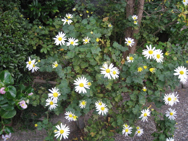 c0132387_0112587.jpg