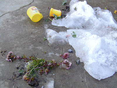 e0160787_10202470.gif