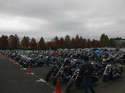 f0103688_20534919.jpg