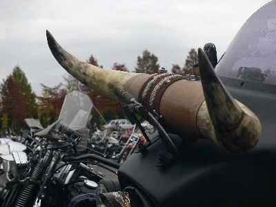 f0103688_2174590.jpg