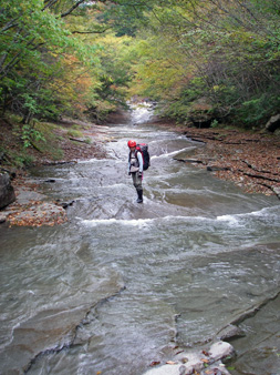 c0018489_00391.jpg