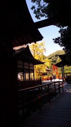 a0079292_13103912.jpg