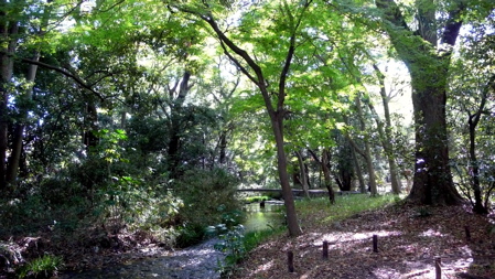 a0079292_1383219.jpg