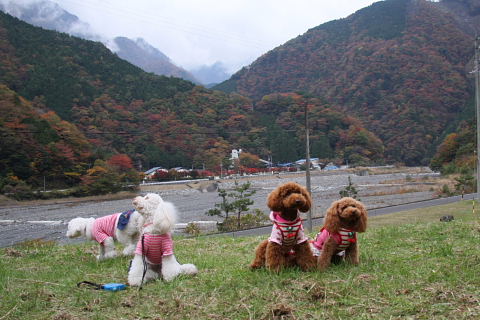 b0104592_1705549.jpg