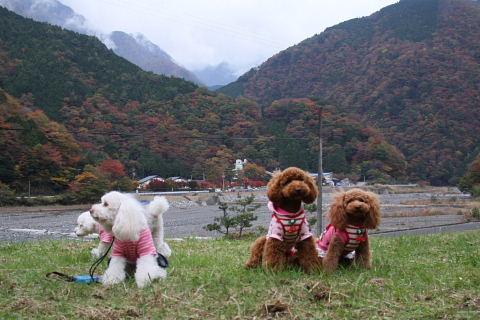 b0104592_17081.jpg