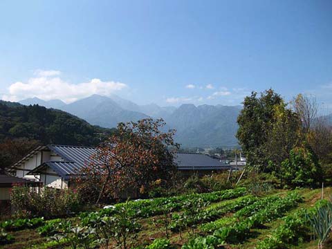 f0165396_5262684.jpg