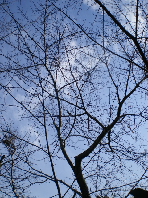 a0023500_2204890.jpg