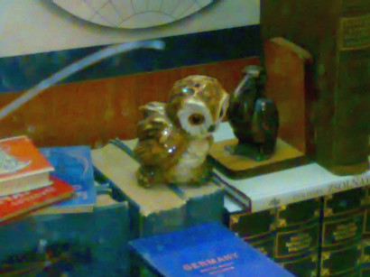 f0021504_203987.jpg
