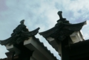 f0167007_922033.jpg