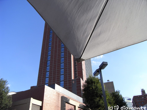 e0071409_1995466.jpg