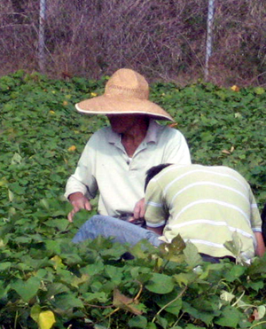 b0076710_15582562.jpg
