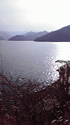 d0112211_057297.jpg