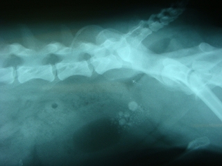 f0152412_16504697.jpg