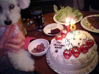 d0039113_15422230.jpg