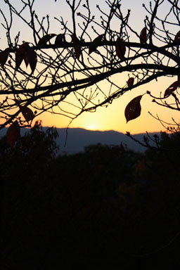 e0156015_843054.jpg