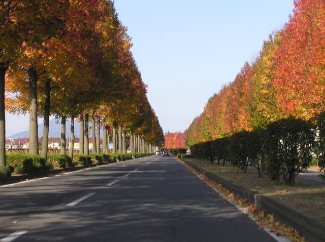 f0128723_132432.jpg