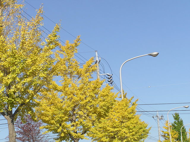 f0128723_1351359.jpg