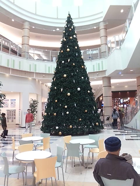 f0071731_23162697.jpg