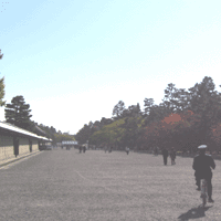 d0033734_18385144.gif