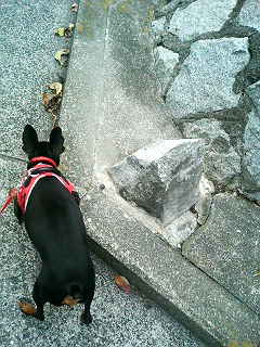 e0150843_16172030.jpg
