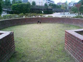 e0150843_16251876.jpg