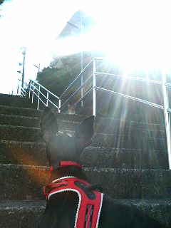 e0150843_16572243.jpg