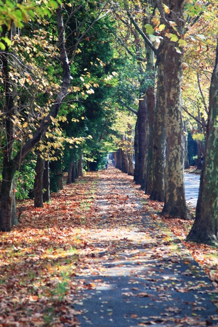 c0122445_17182157.jpg