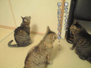 f0116546_23211492.gif