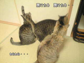 f0116546_23214765.gif