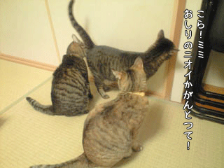 f0116546_232210100.gif