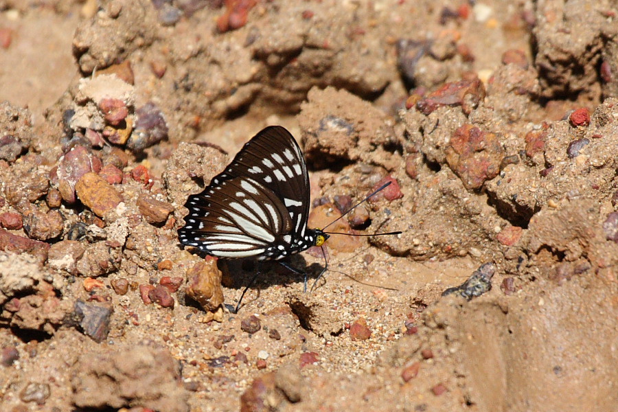 a0094850_19574972.jpg