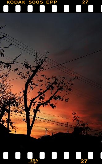 c0145250_21395136.jpg