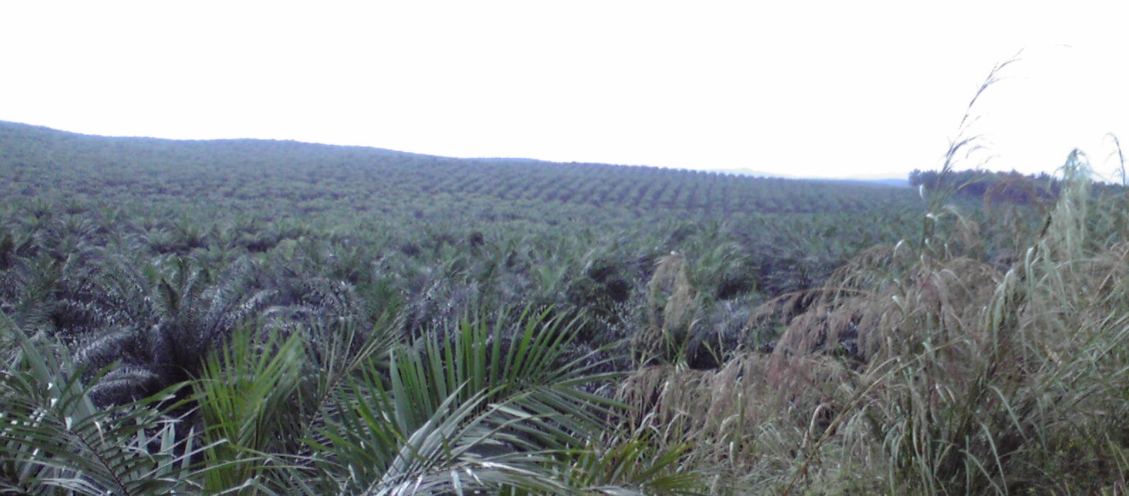 f0057955_23554565.jpg