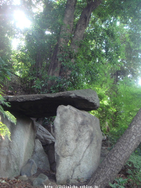 a0067962_652117.jpg