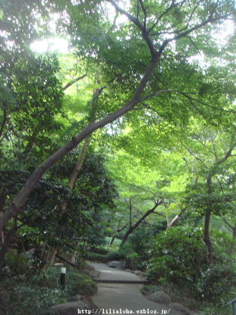 a0067962_7123964.jpg