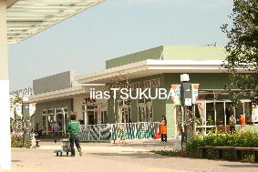 f0181462_7501547.jpg