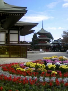 c0082567_18291196.jpg
